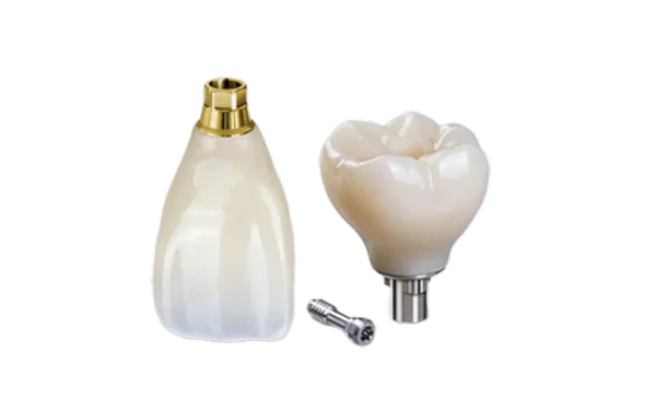 Phục hình Bắt vít